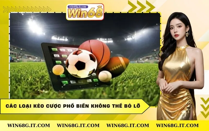 Các loại kèo cược phổ biến không thể bỏ lỡ