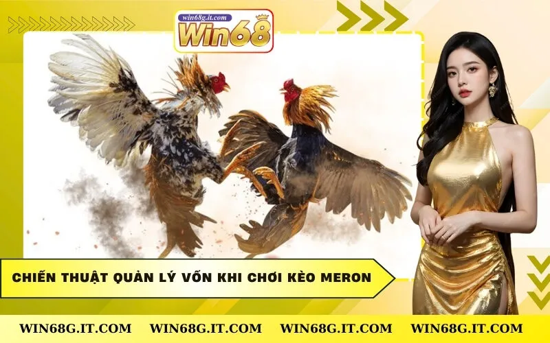 Chiến thuật quản lý vốn khi chơi kèo Meron
