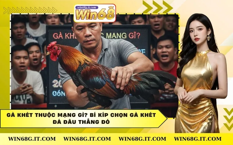 Gà Khét Thuộc Mạng Gì? Bí Kíp Chọn Gà Khét Đá Đâu Thắng Đó