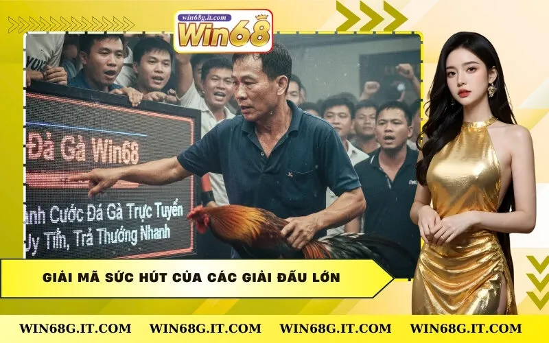 Giải mã sức hút của các giải đấu lớn