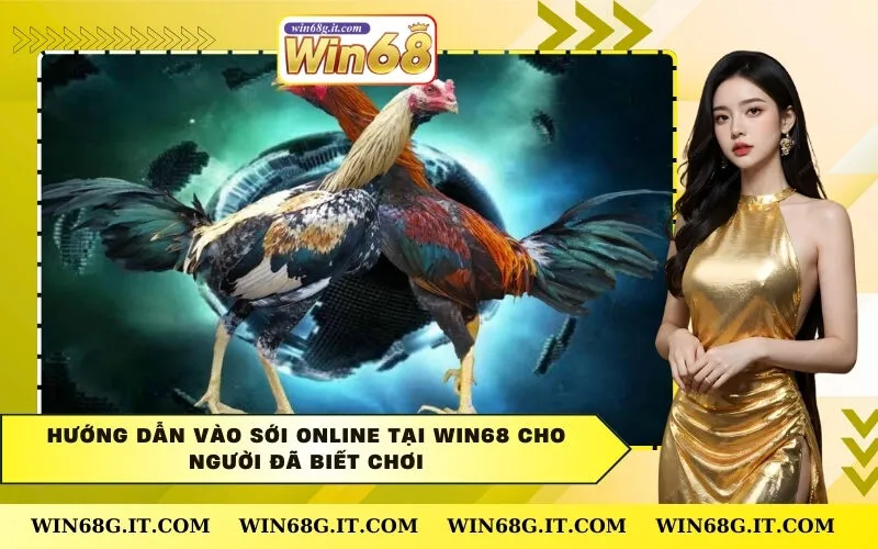 Hướng dẫn vào sới online tại Win68 cho người đã biết chơi