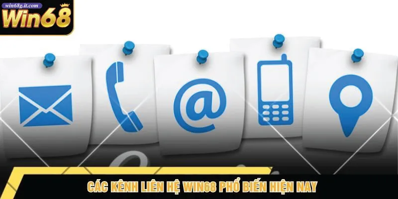 Các Kênh Liên Hệ Win68 Phổ Biến Hiện Nay